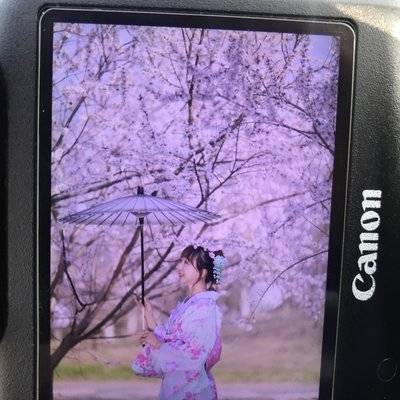 和服模特