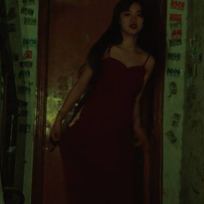 宝丽来模特