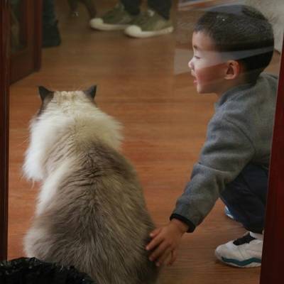 胶片模特