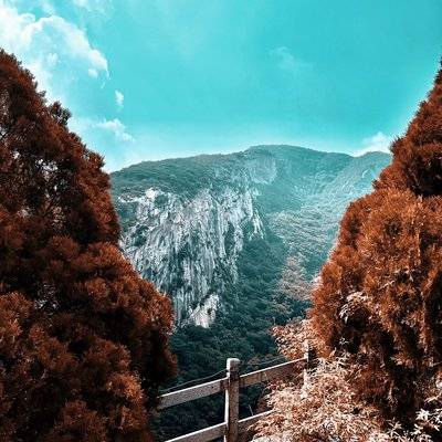 胶片模特