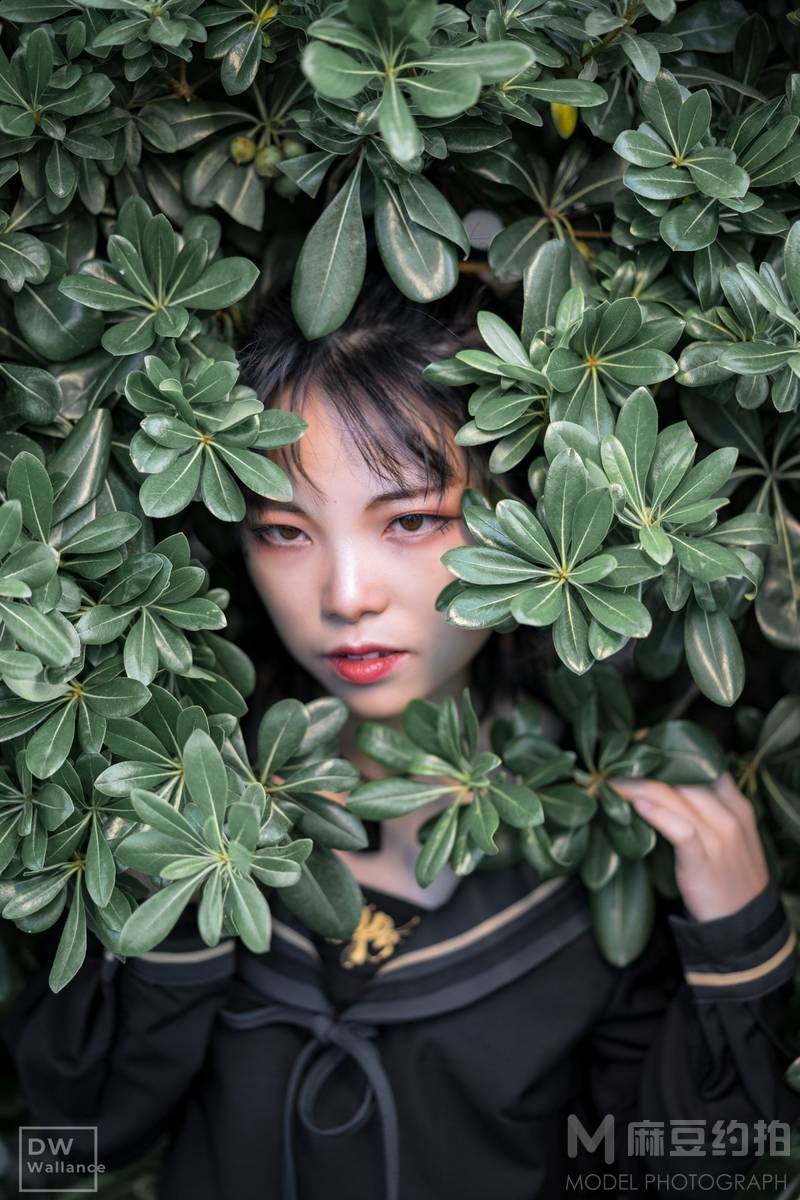 少女模特