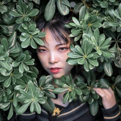 少女模特