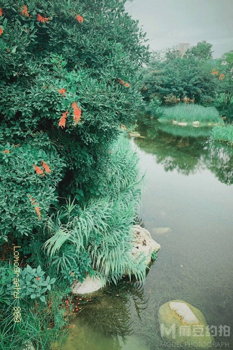 胶片模特
