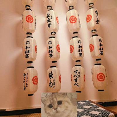 和服模特