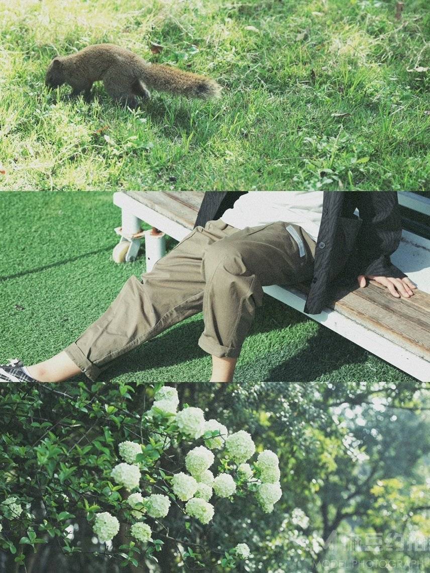 校园模特