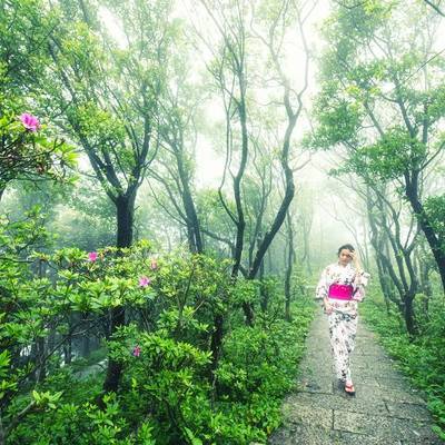和服模特