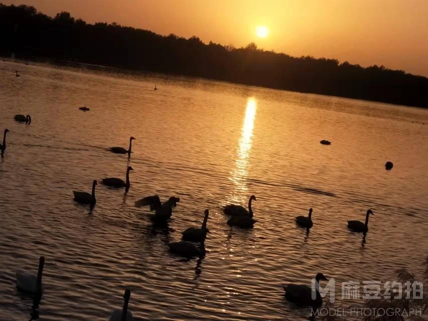 纪实模特