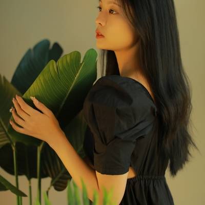 韩系模特