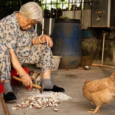 情绪模特