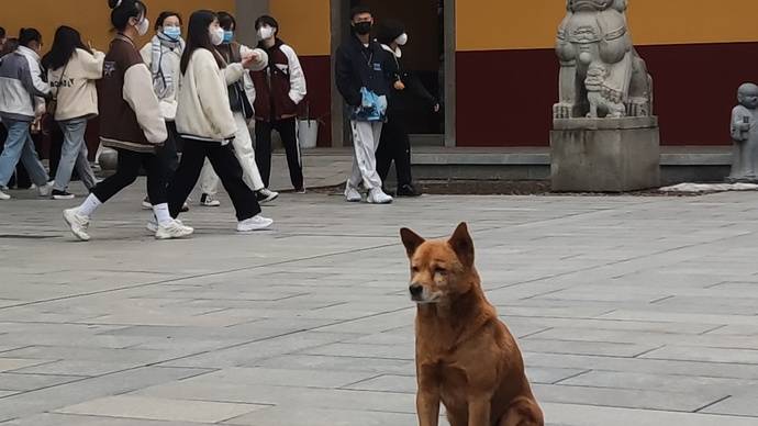 开福区开福寺