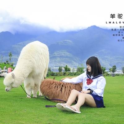 日系模特