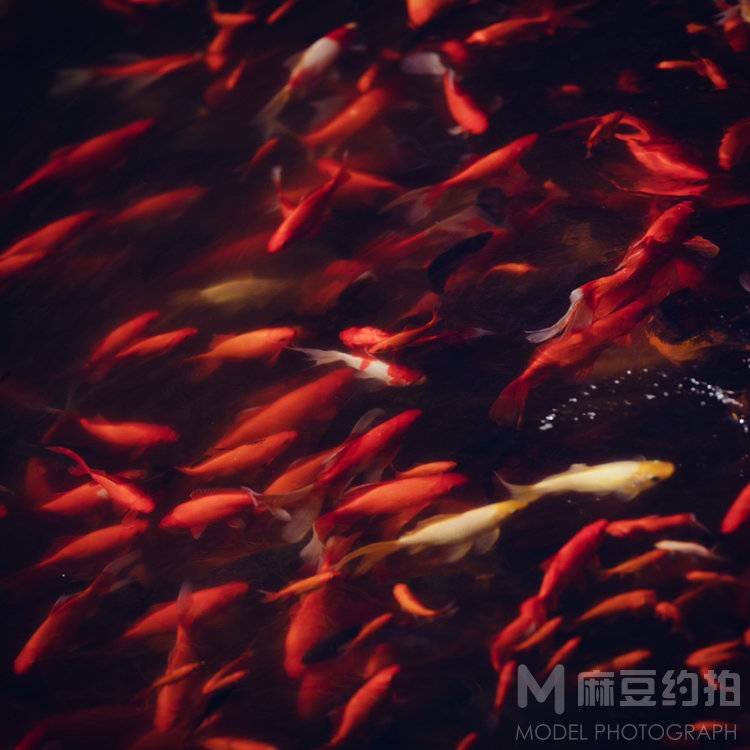 纪实模特
