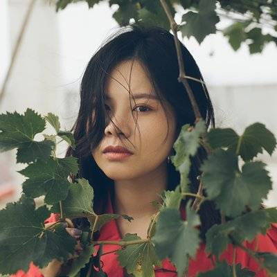 胶片模特