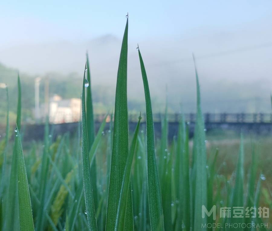 纪实模特