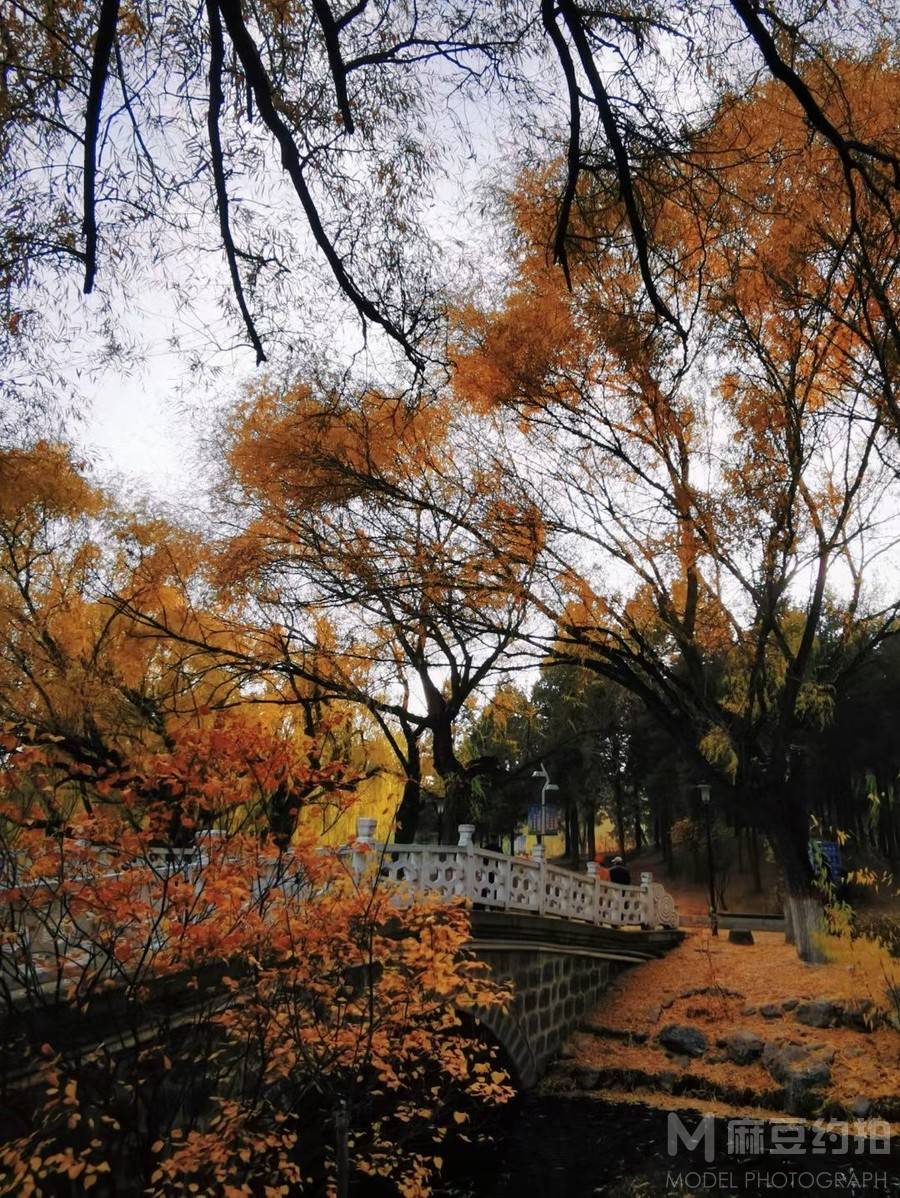 纪实模特