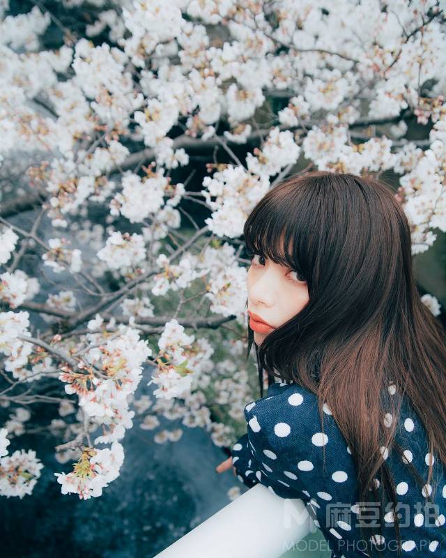胶片模特