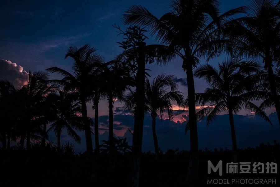夜景模特