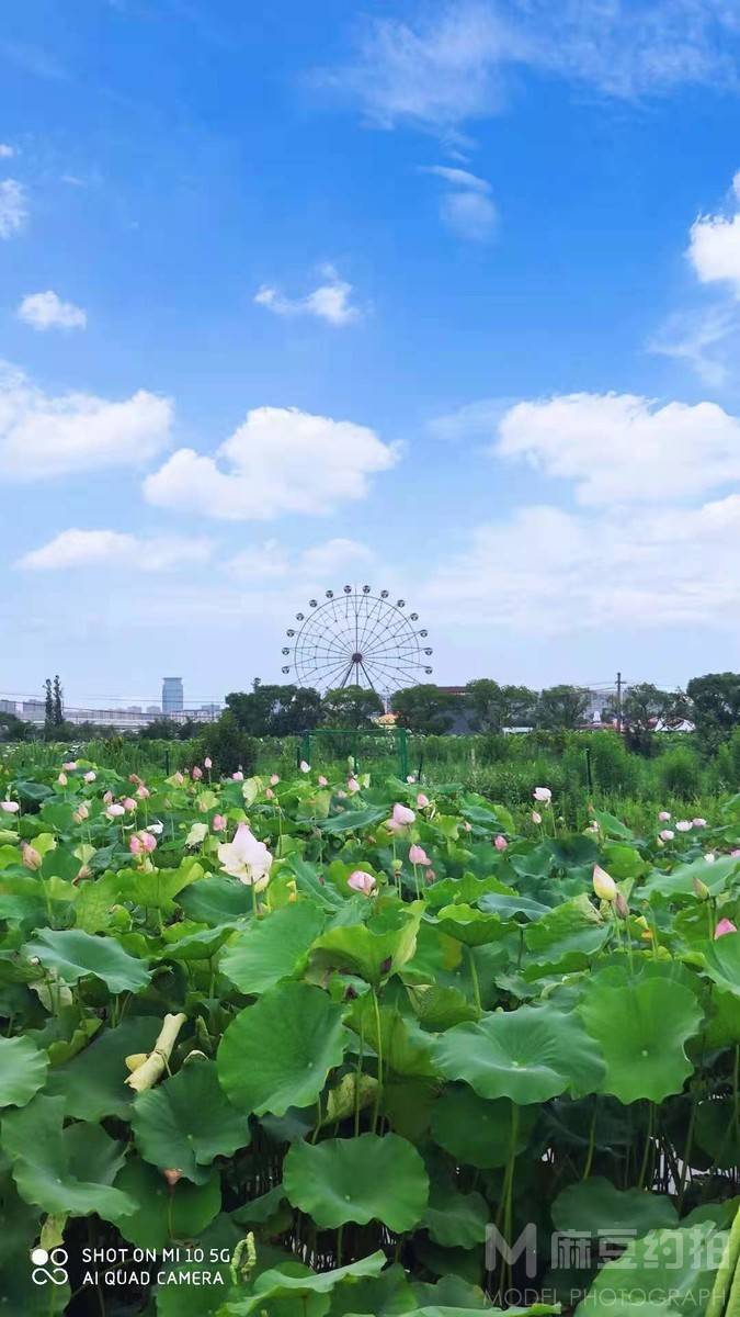 纪实模特