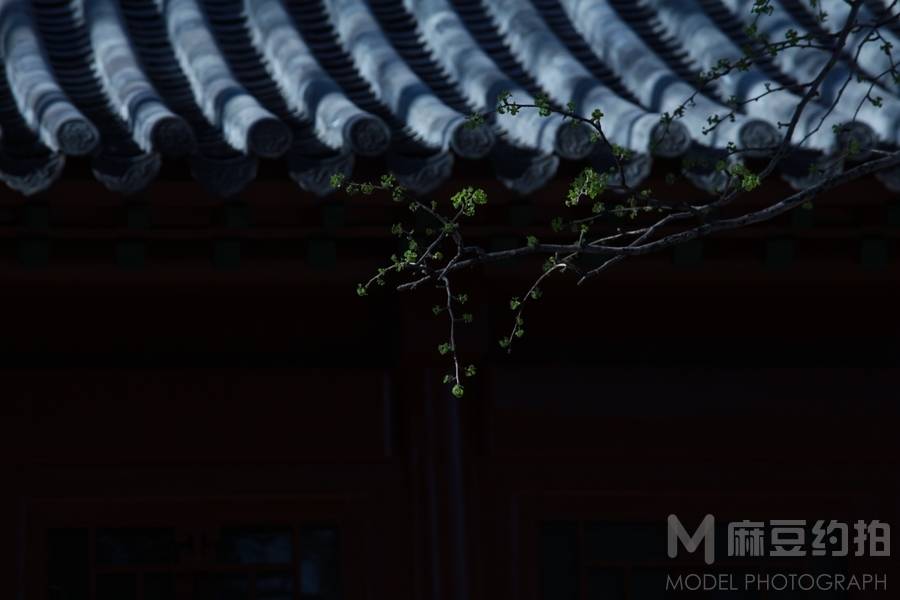 纪实模特