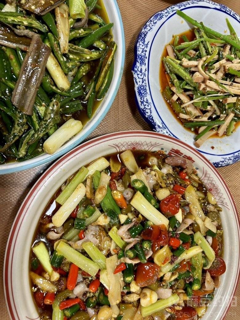 纪实模特