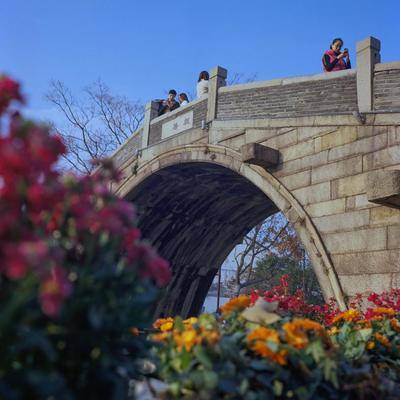 宝丽来模特