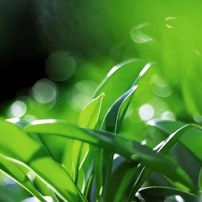 私房模特
