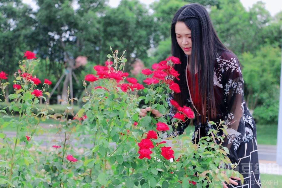 清新模特