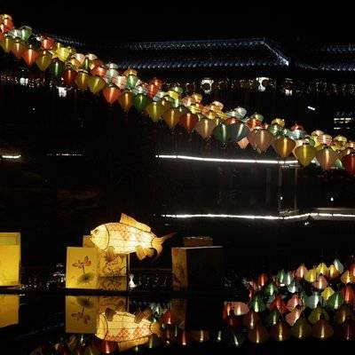 夜景模特