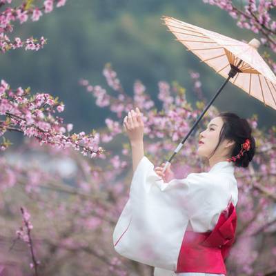 商务模特