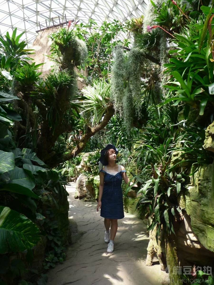 和服模特