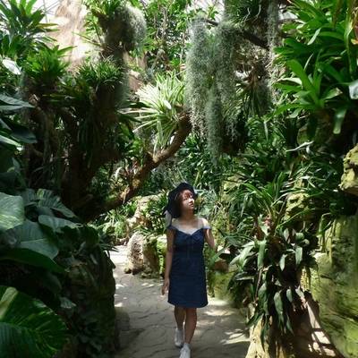 和服模特
