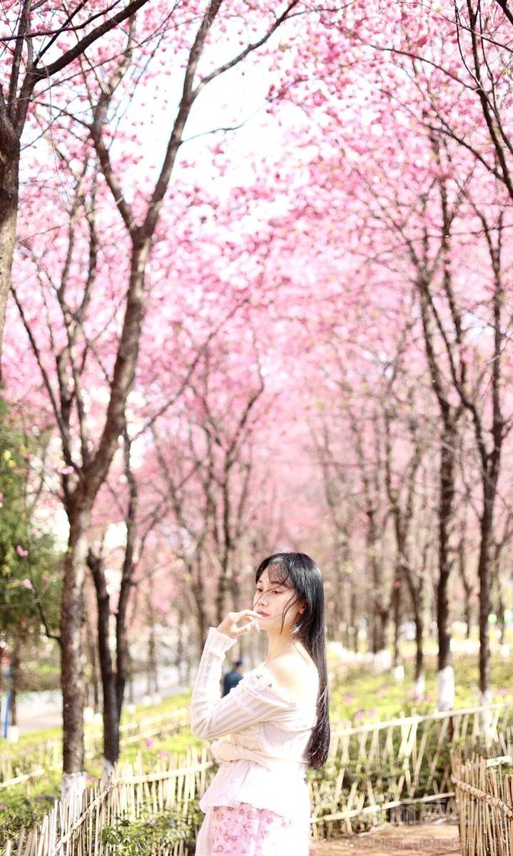 校园模特
