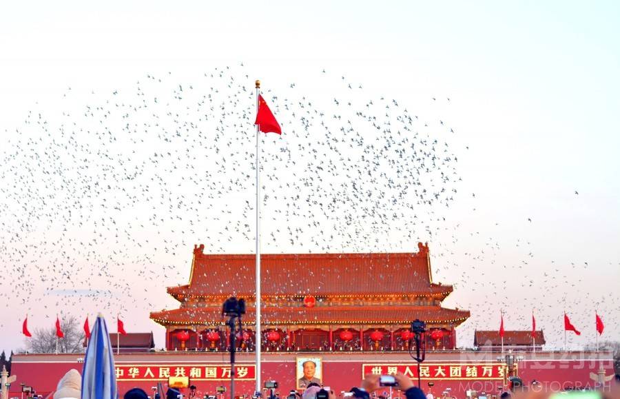 纪实模特