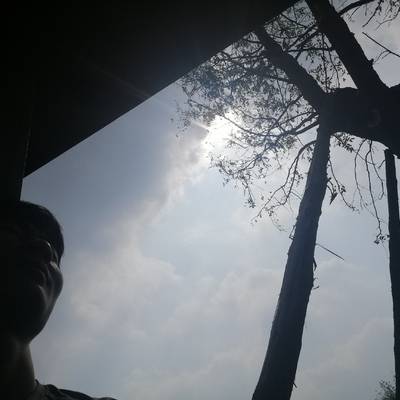 黑白模特