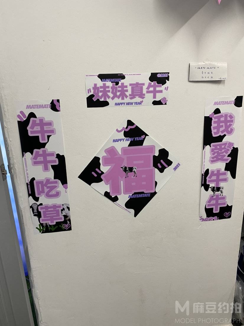 胶片模特
