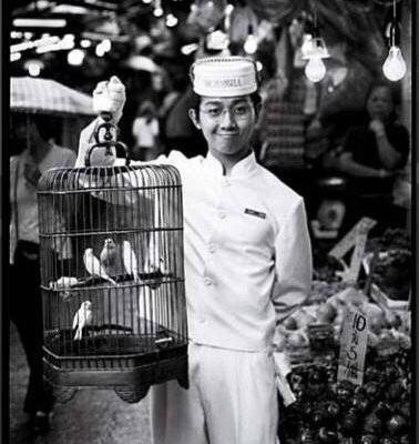 和服模特