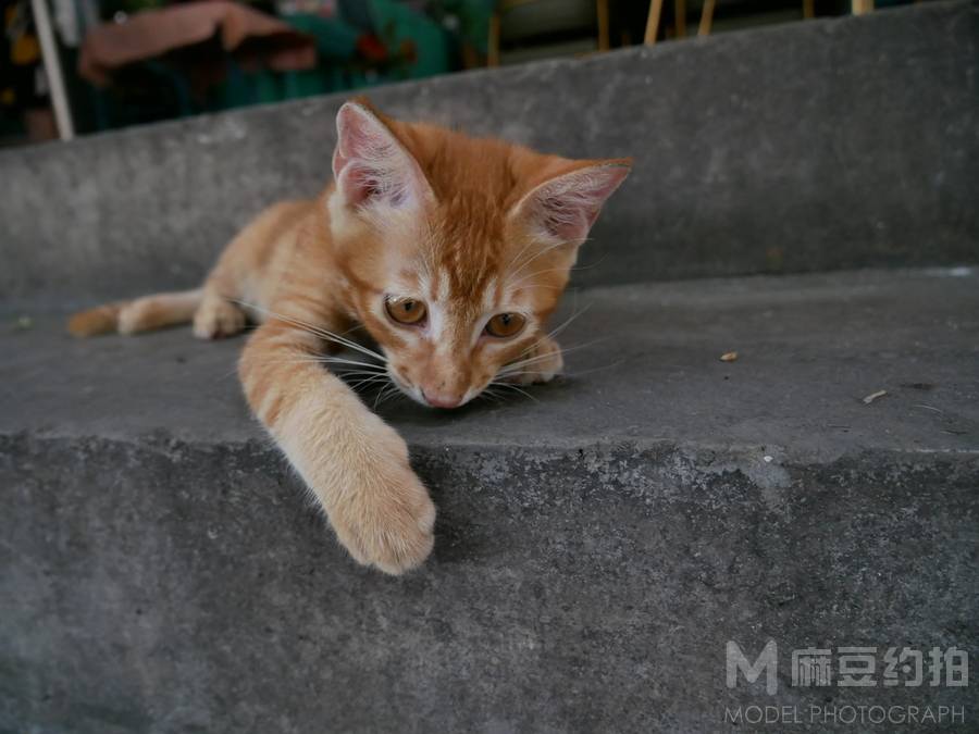 纪实模特