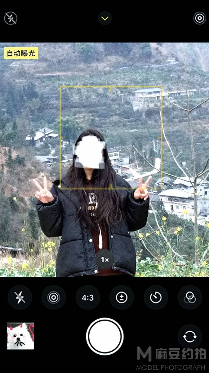 胶片模特