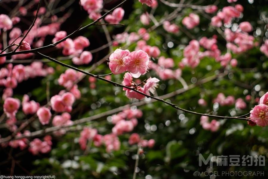 黑白模特