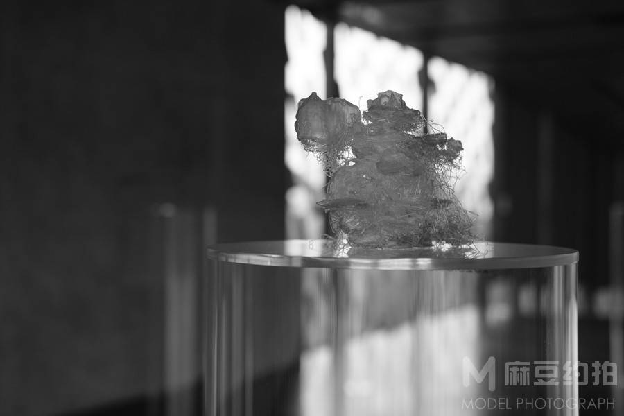 胶片模特