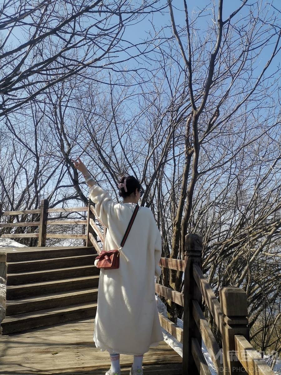 旗袍模特