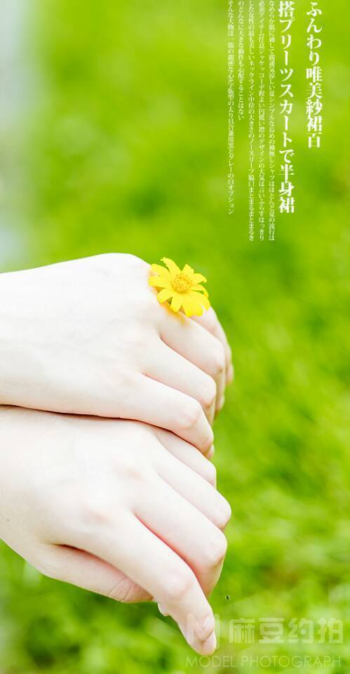 清新模特