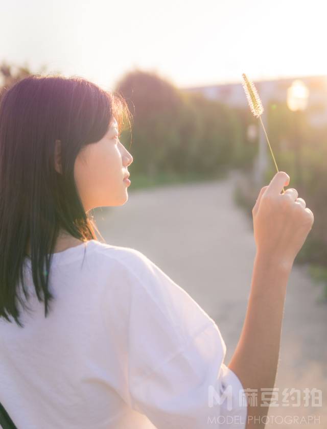 清新模特
