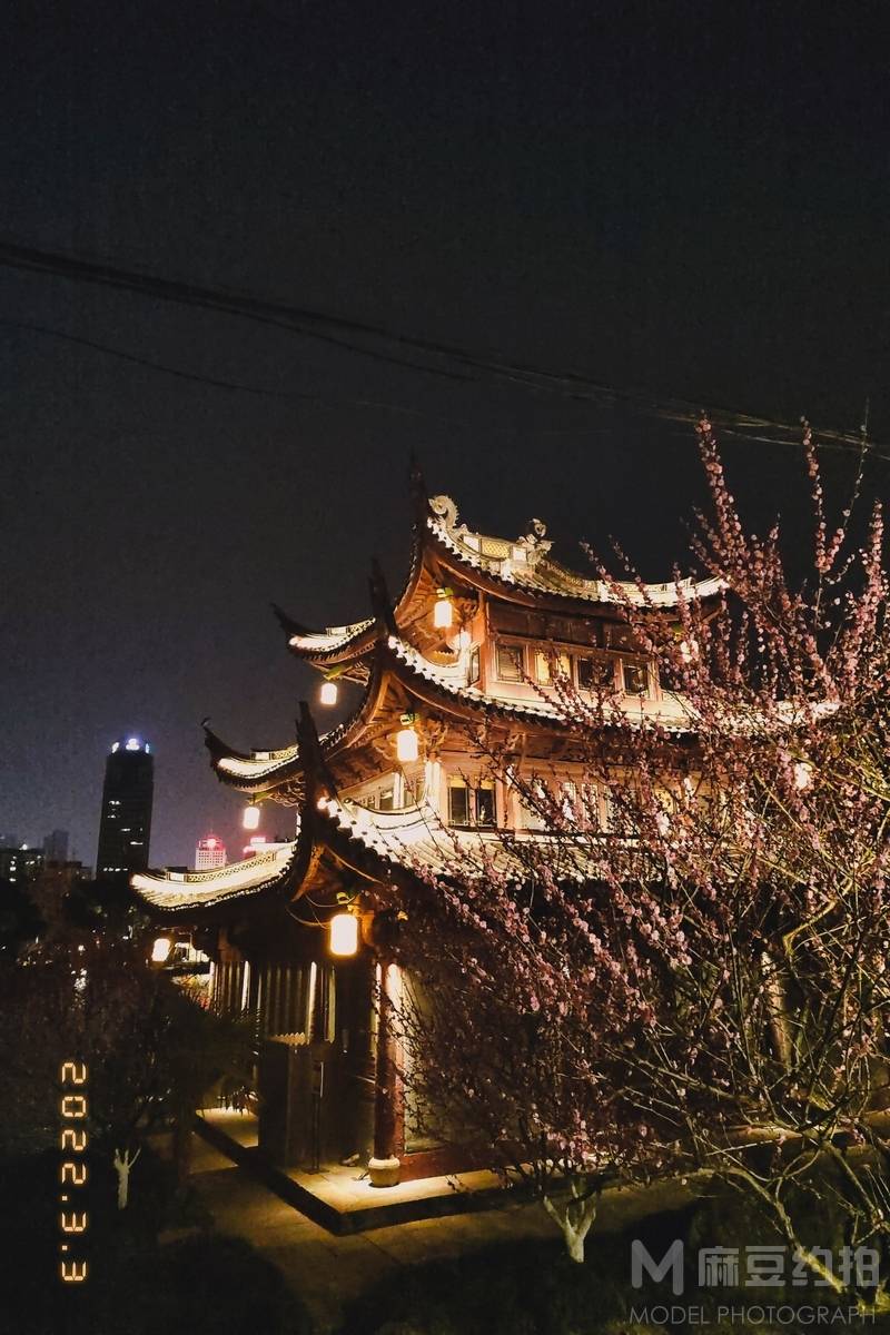 胶片模特