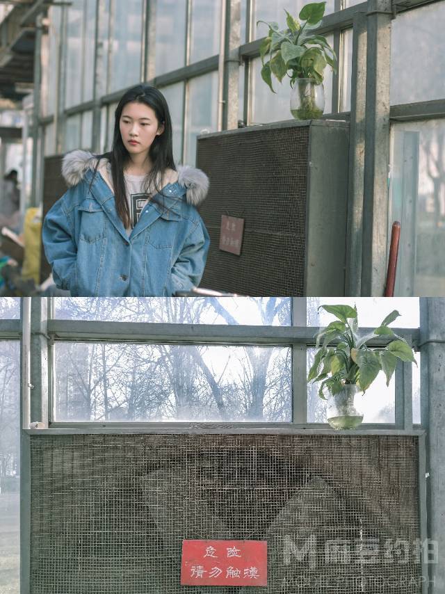 清新模特