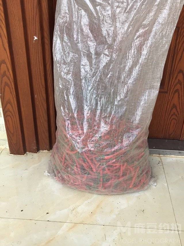 纪实模特