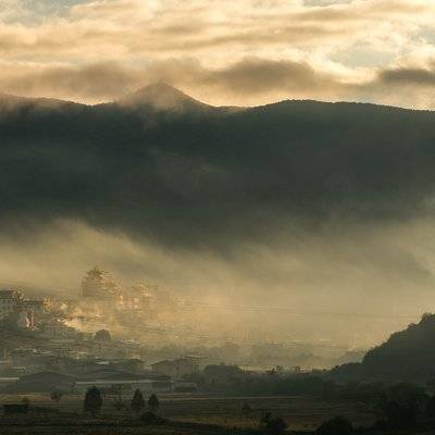 纪实模特