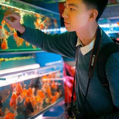 胶片模特