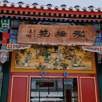 纪实模特