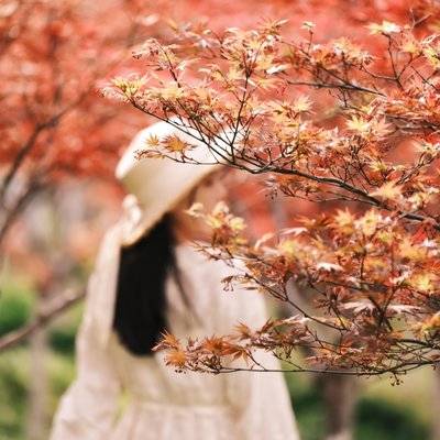 复古模特